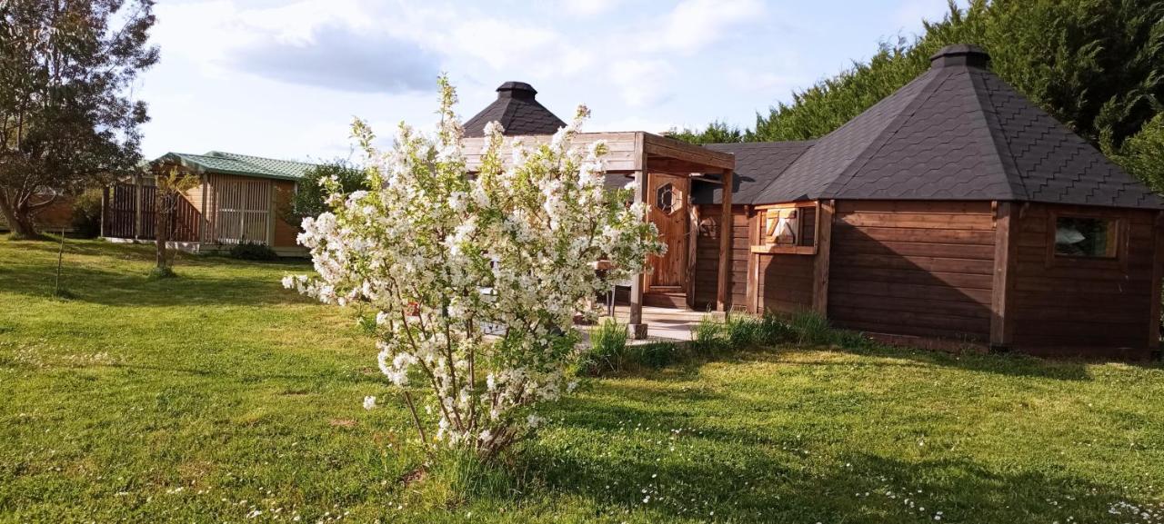 Atypique Lola Type Kota Location En Chalet *