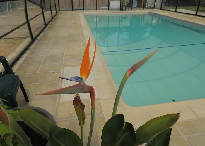 Chalet Atypique Lola Type Kota Location En Gite