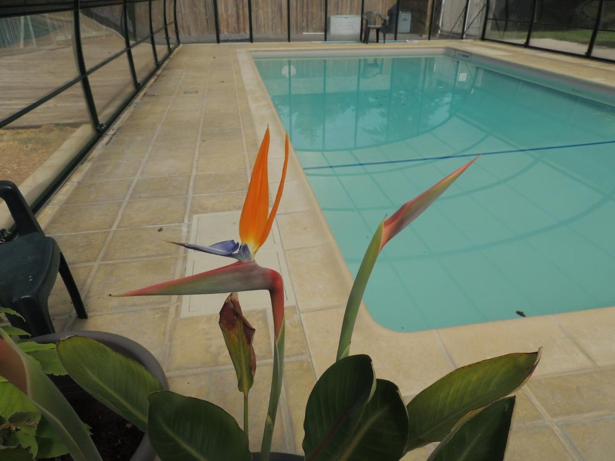 Chalet Atypique Lola Type Kota Location En Chalet