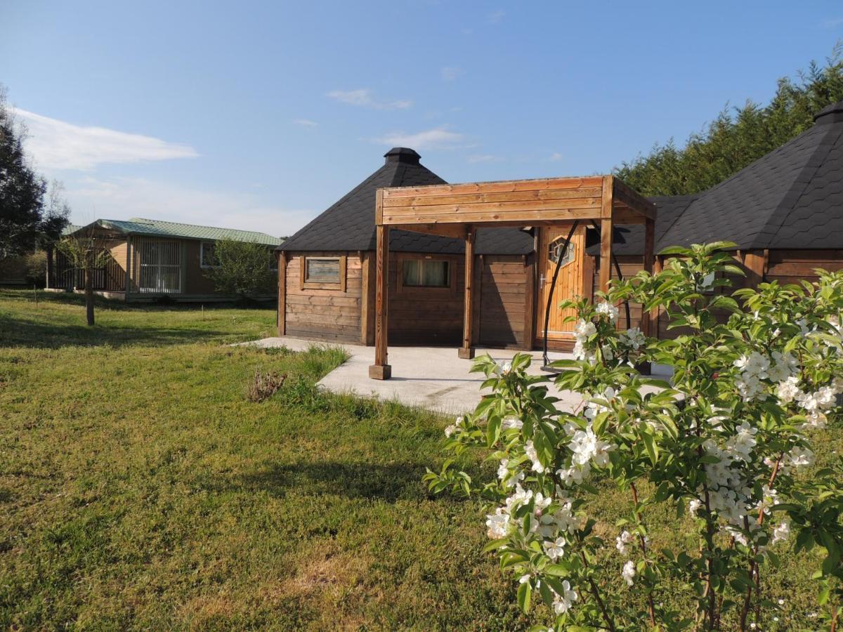 Atypique Lola Type Kota Location En Chalet *