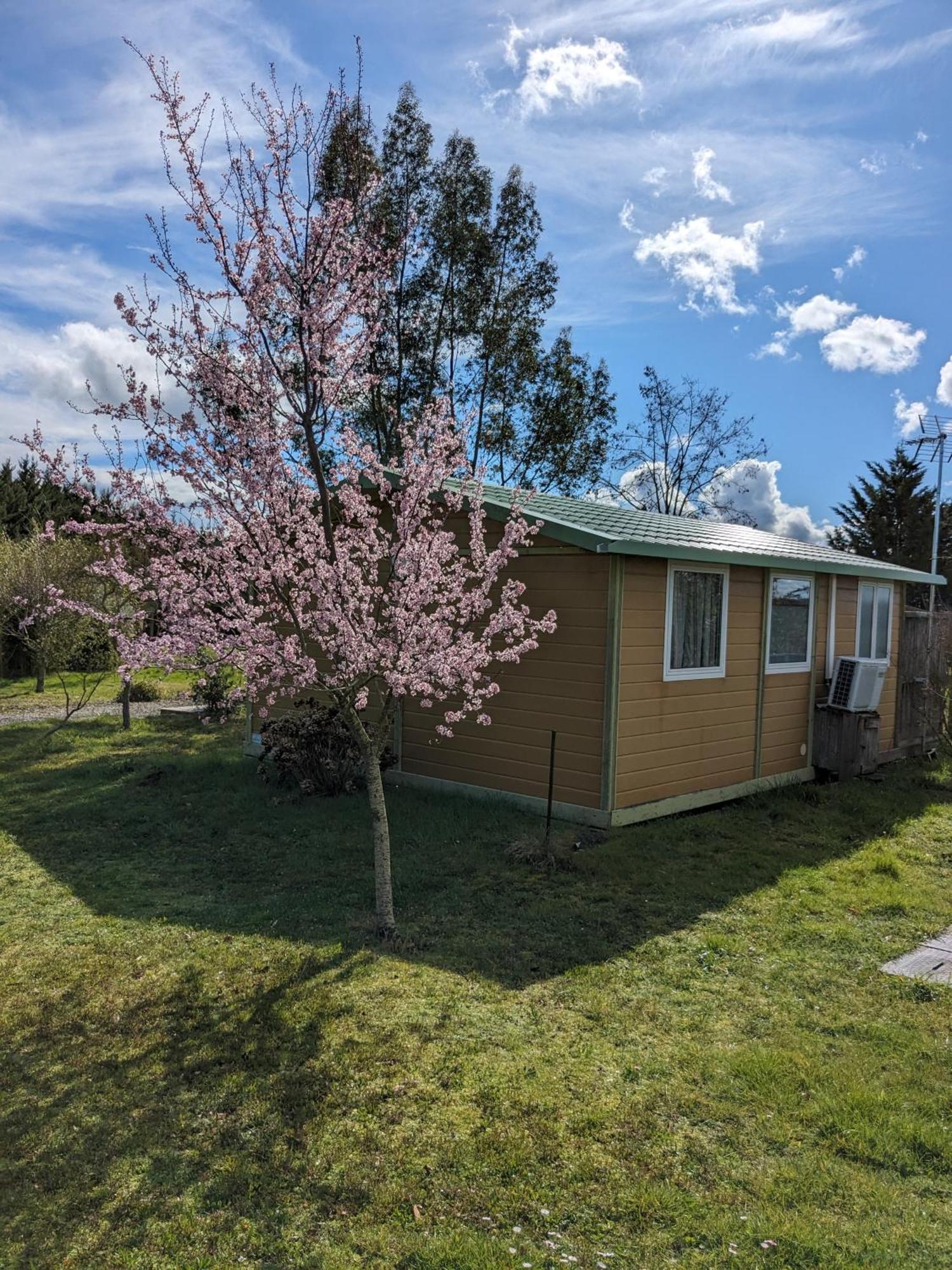 Atypique Lola Type Kota Location En Chalet *